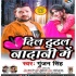 Dil Tutal Nadani Me (Gunjan Singh) Poster