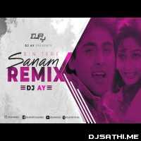 Bin Tere Sanam Mar Mitenge Hum Remix (Dj Ay)