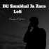Dil Sambhal Jaa Zara Lofi Mix