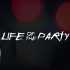 Life Of The Party Dawin Poster
