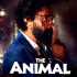 Animal Bobby Deol Marriage
