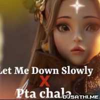 Let Me Down Slowly x Pata Chala