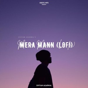 Mera Mann (Slowed and Reverb) Lofi Mix