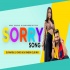 Sorry Song (Club Mix) DJ Ravish, DJ Chico x DJ Dinesh Poster