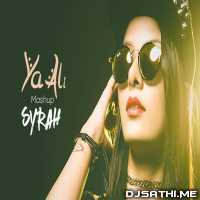 Ya Ali (Gangster) Mashup   DJ Syrah