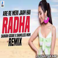 Are Re Meri Jaan Hai Radha (Remix)   SHAMELESS MANI