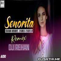 Senorita Remix - DJ Rehan