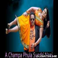 A Champa Phula Sundari Nani (Desi Remix) Dj Subham