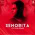 Senorita (Remix) - OxyGun Poster