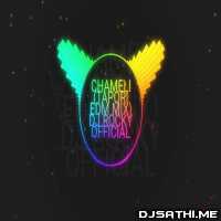 Chameli Hai Hai New Sambalpuri Remix 2020   DjRocky Official