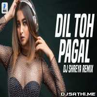 Dil To Pagal Hai (Remix) - DJ Shreya