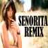 Senorita Remix   DJ Harsh Mahant x DJ Paggy