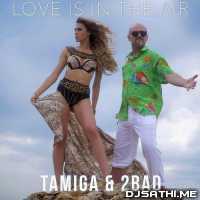 Love Is In The Air - Tamiga n 2Bad