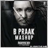 B Praak Pain Mashup - Princeology