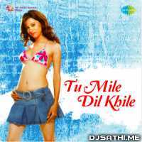 Tum Mile Dil Khile Arijit Singh New Version
